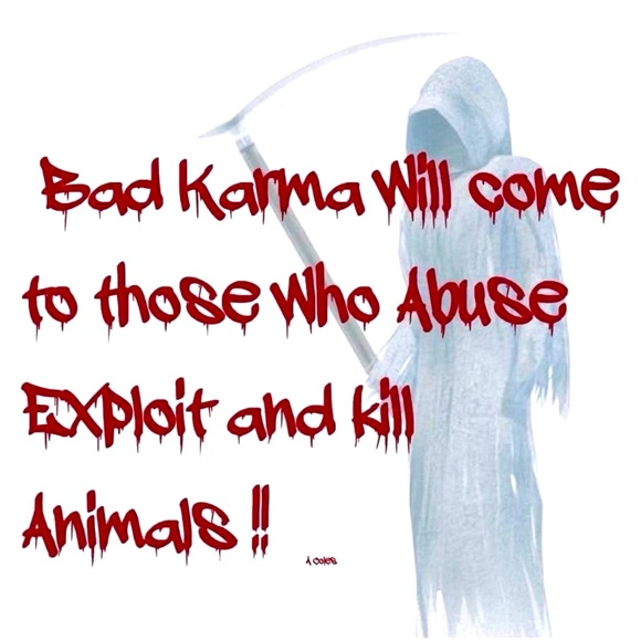 👖👖👖DITCH THE LEATHER PATCHES ON CLOTHING! - Picture 3 of 3